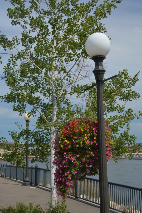 the Upper Landing walking trail